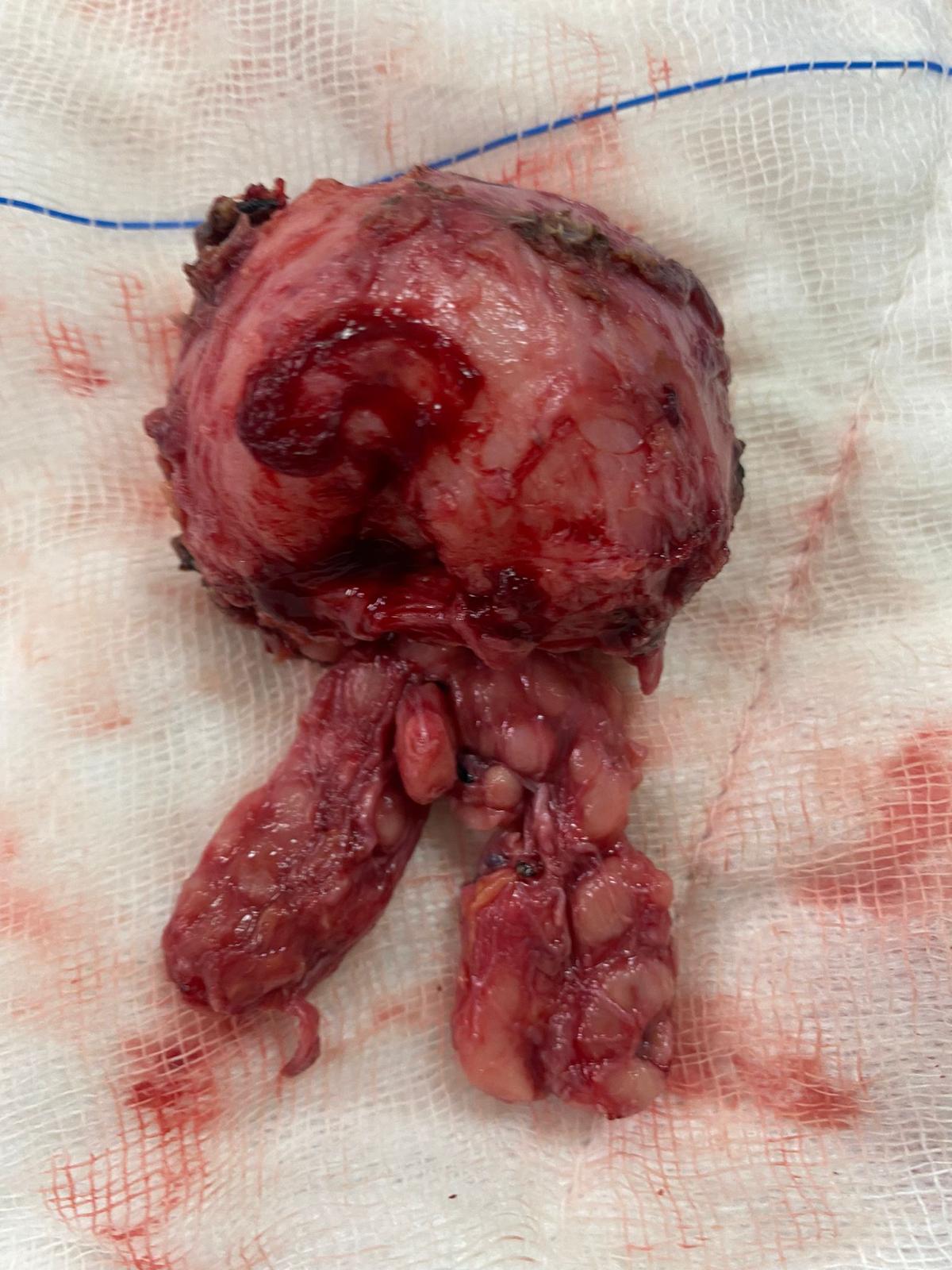 Op. Dr. İsmail Özdemir
